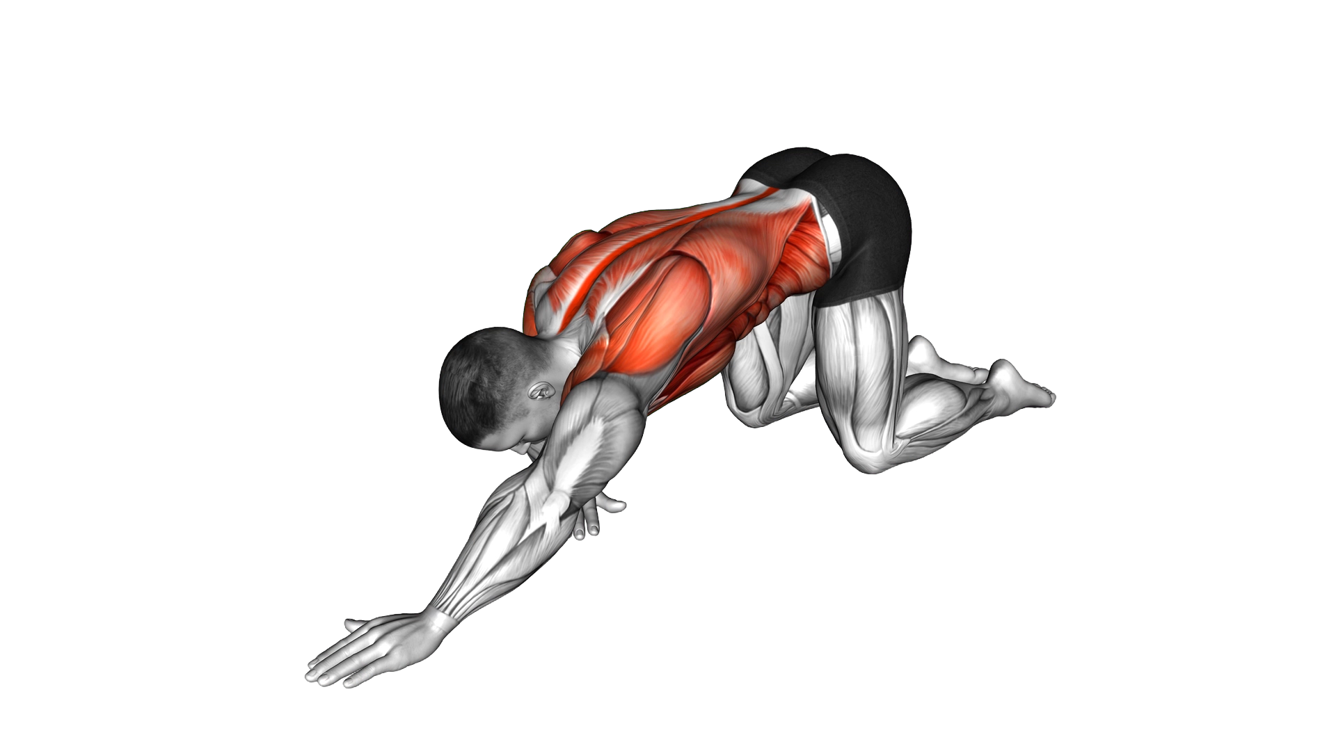 Parsva Balasana Yoga Pose exercise demonstration