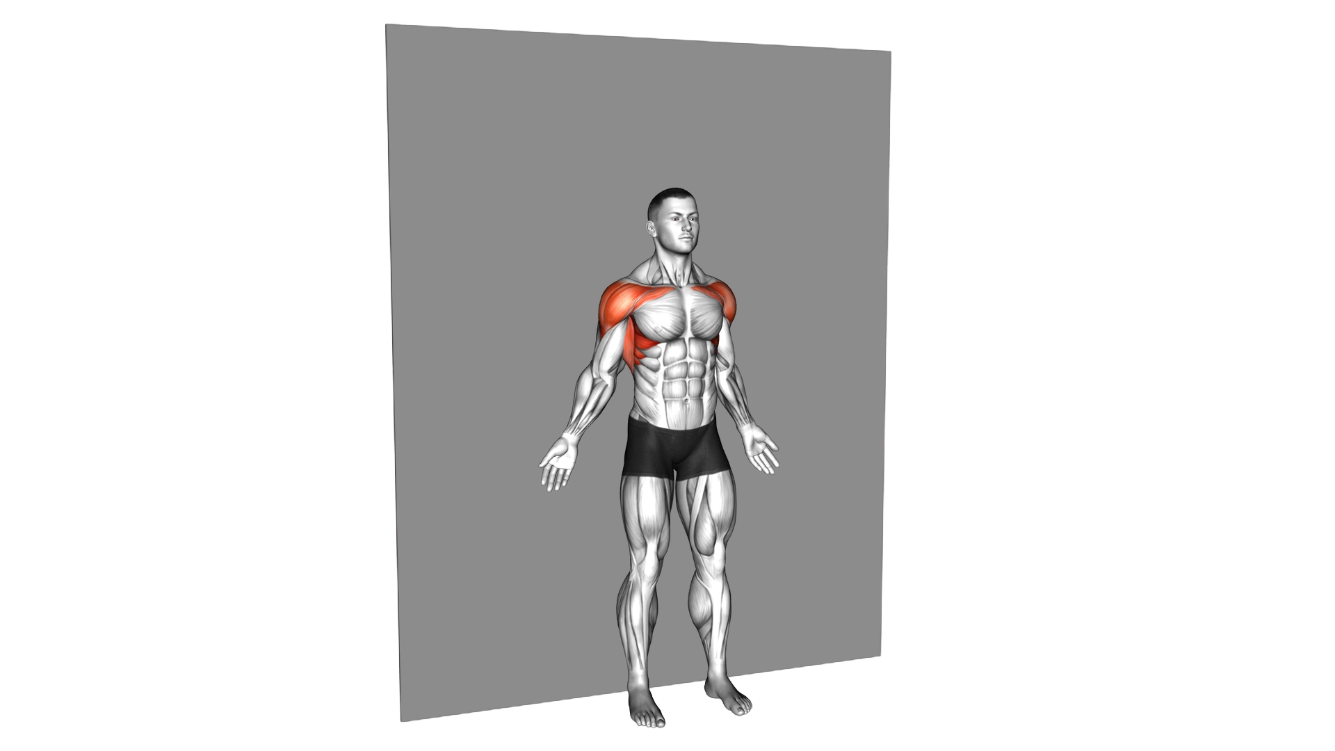 Bodyweight Standing Around World Wall Supported exercise demonstration