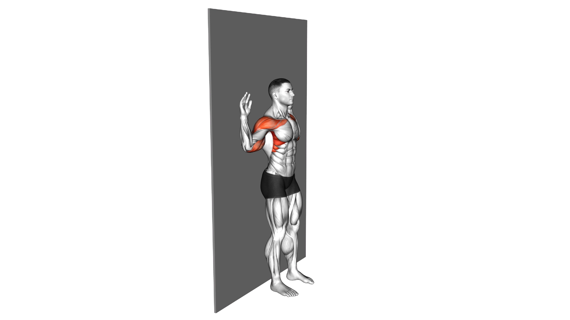 Bodyweight Standing Military Press Wall Supported exercise demonstration