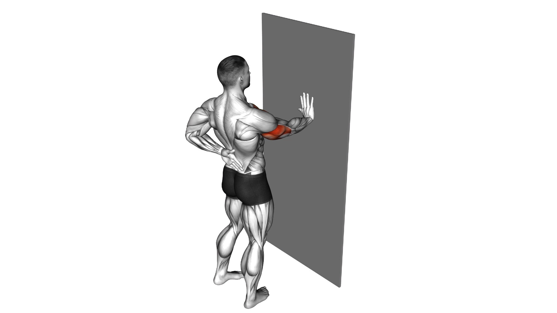 Single Arm Push Up Supported Wall exercise demonstration
