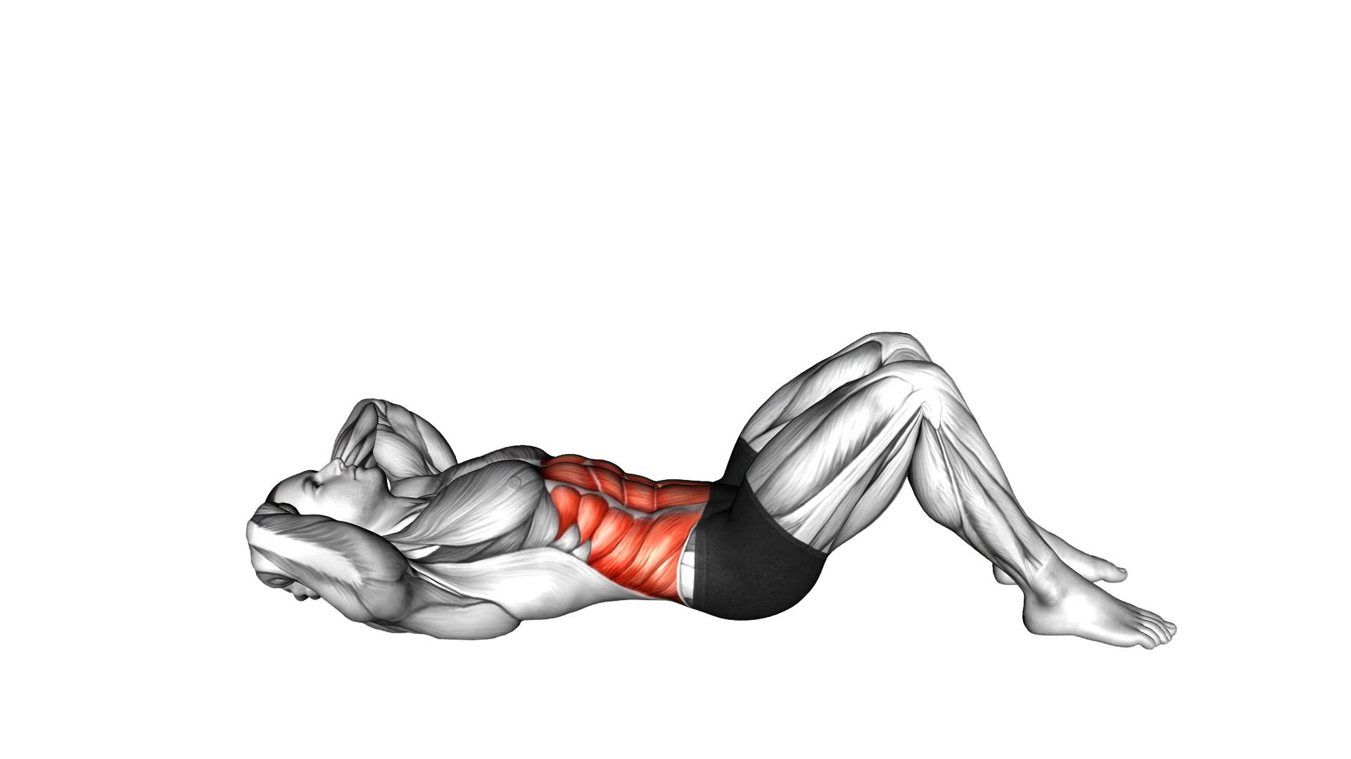 Twisting Crunch exercise demonstration