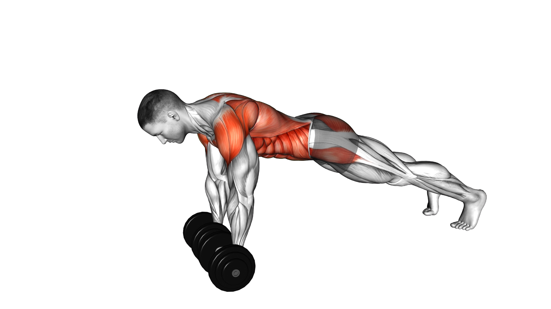 Dumbbell Front Plank Arm Raise exercise demonstration