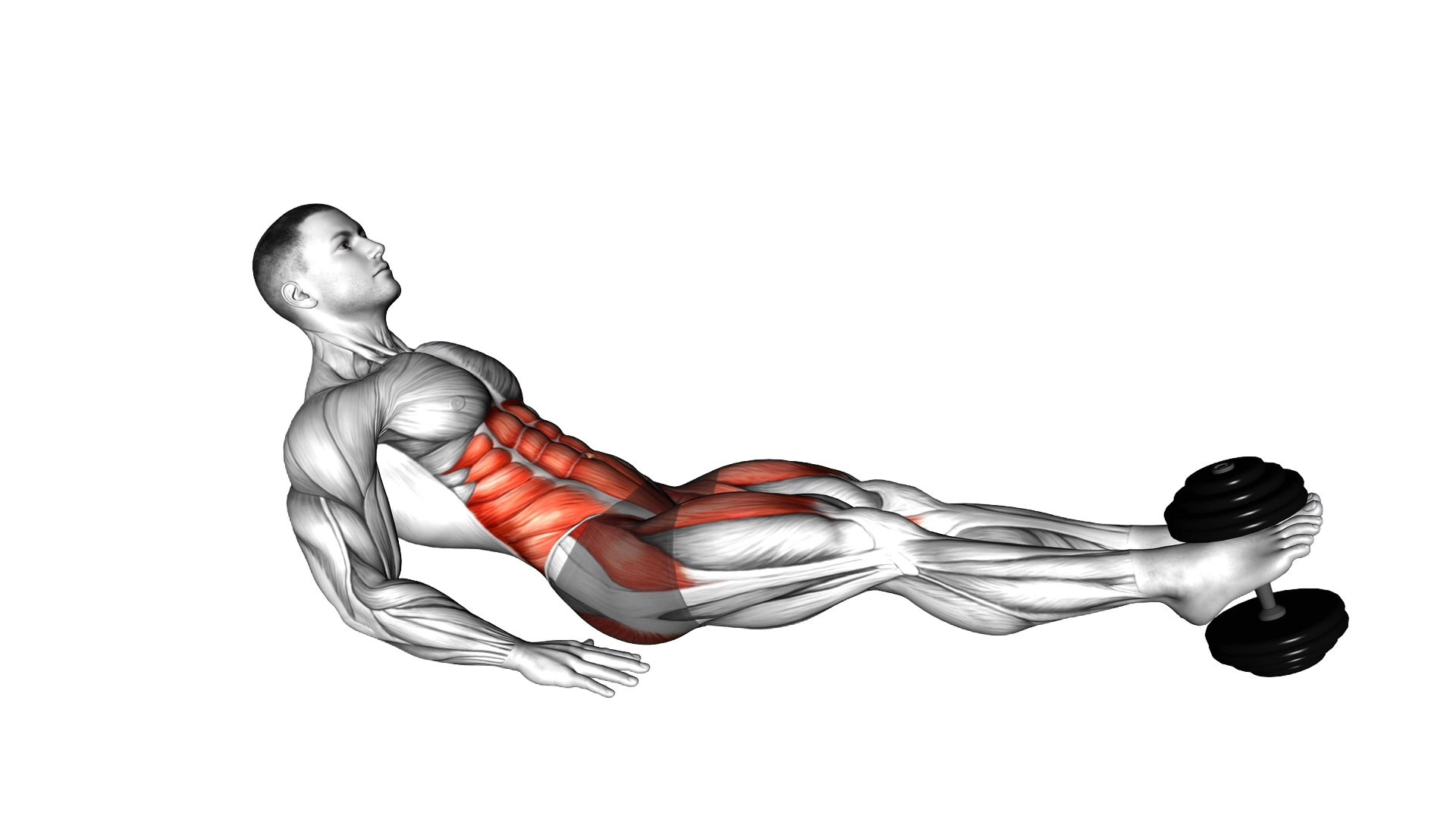 Weighted Seated Tuck Crunch on Floor exercise demonstration