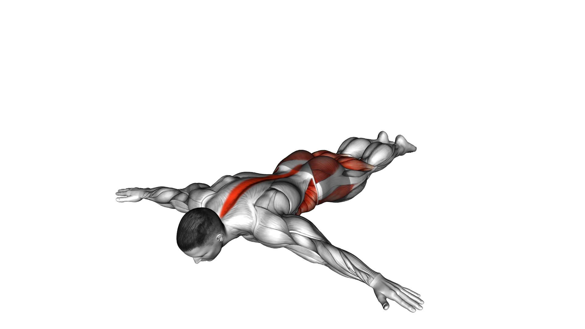 Scorpion Stretch exercise demonstration
