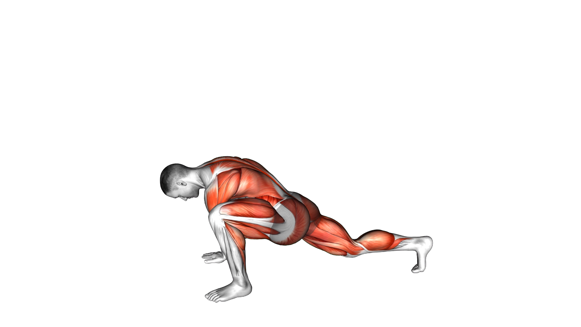 Worlds Greatest Stretch exercise demonstration