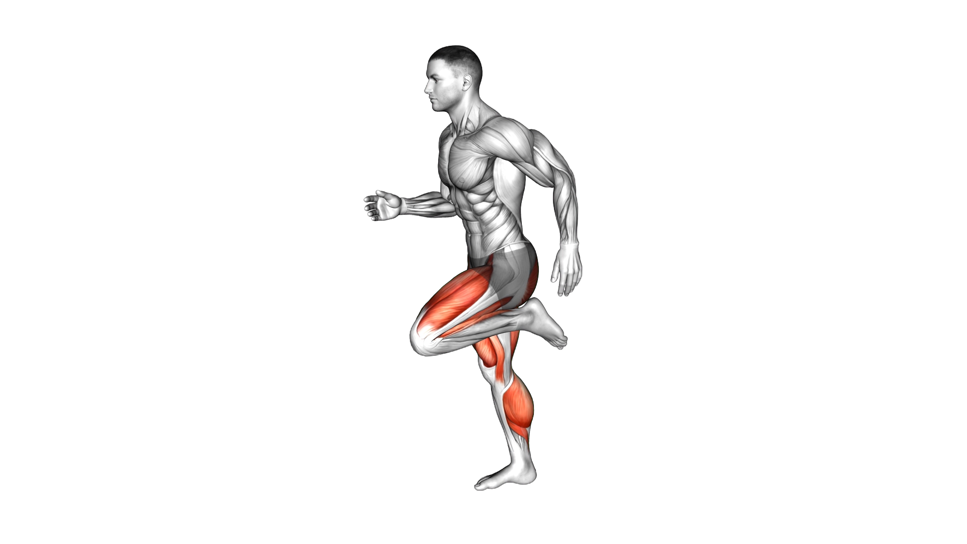 High Knee to Butt Kick exercise demonstration