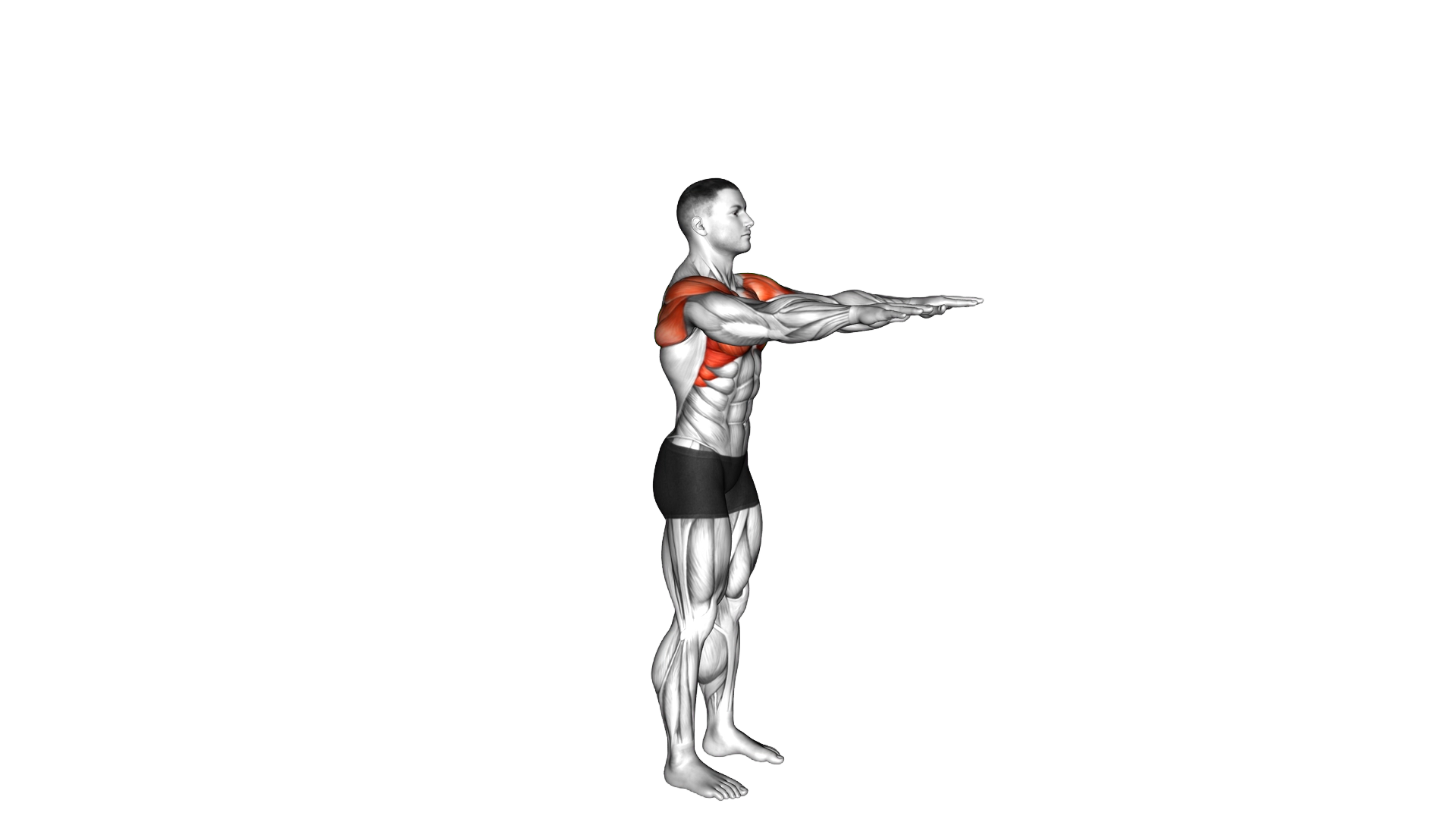 Standing Overhead Shoulder Stretch exercise demonstration