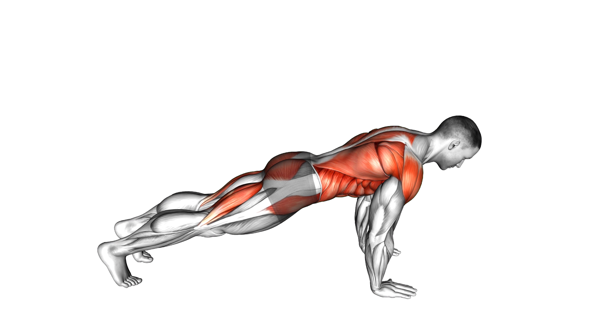Down to Upward Dog exercise demonstration