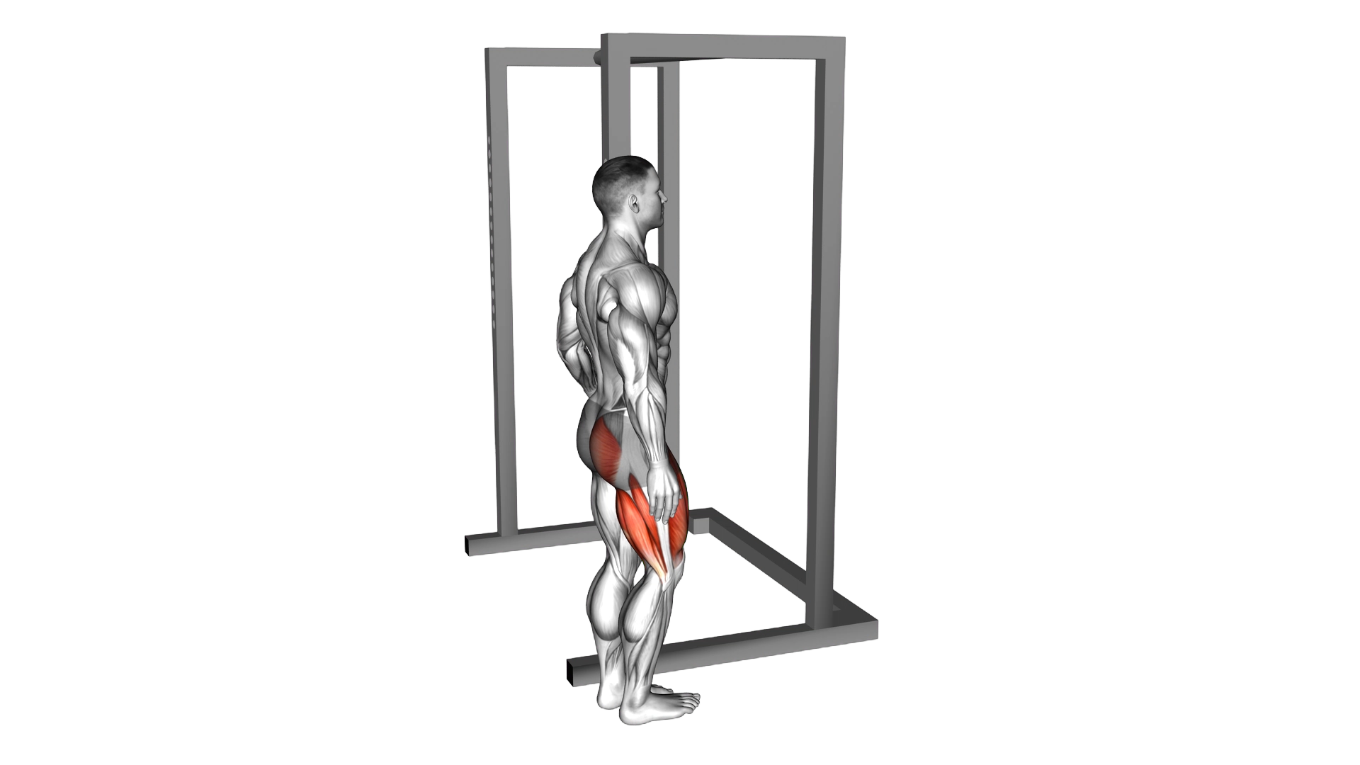 Standing Single Leg High Knee to Butt Kick with Support exercise demonstration