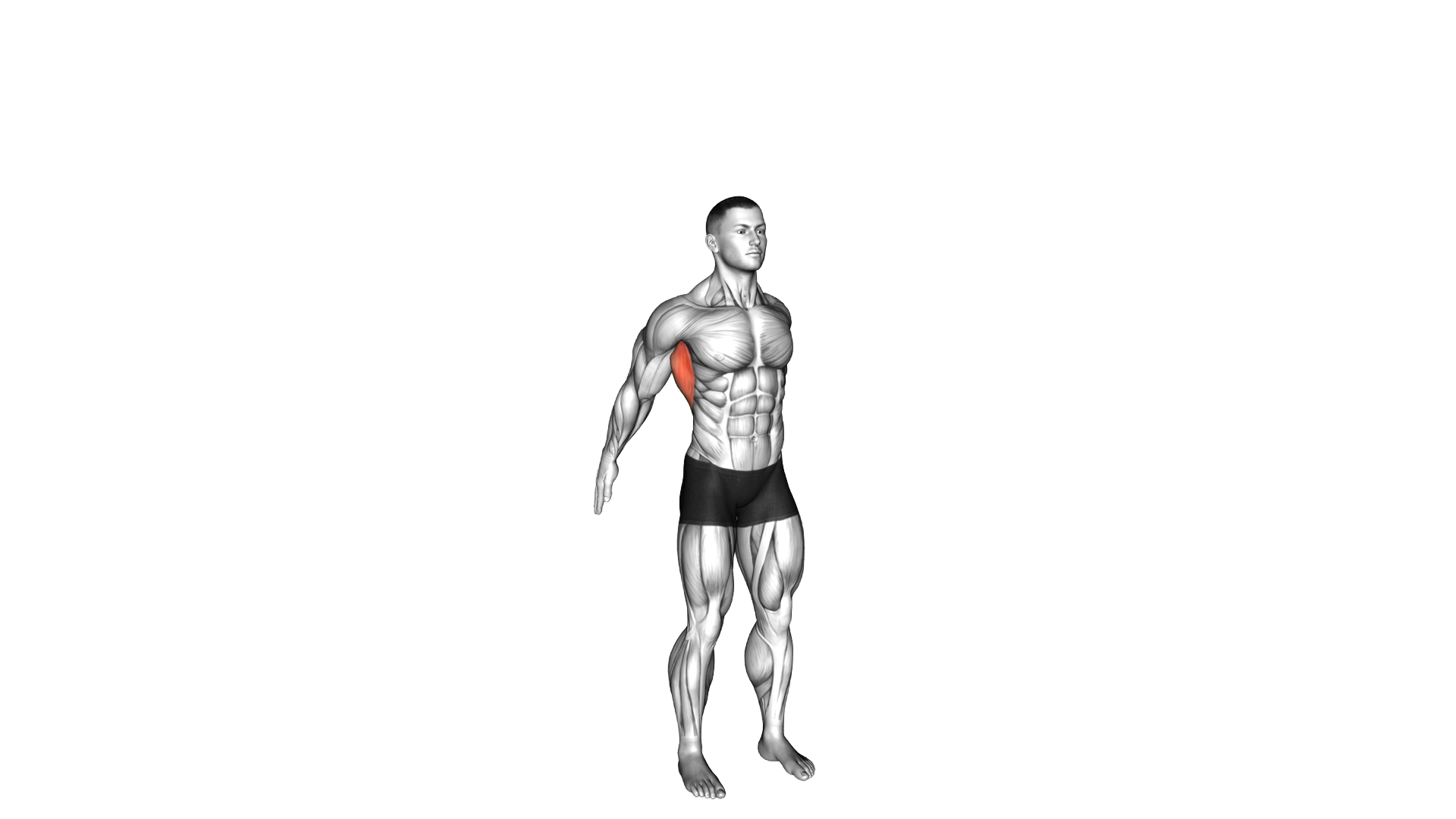 Dynamic Back Stretch exercise demonstration