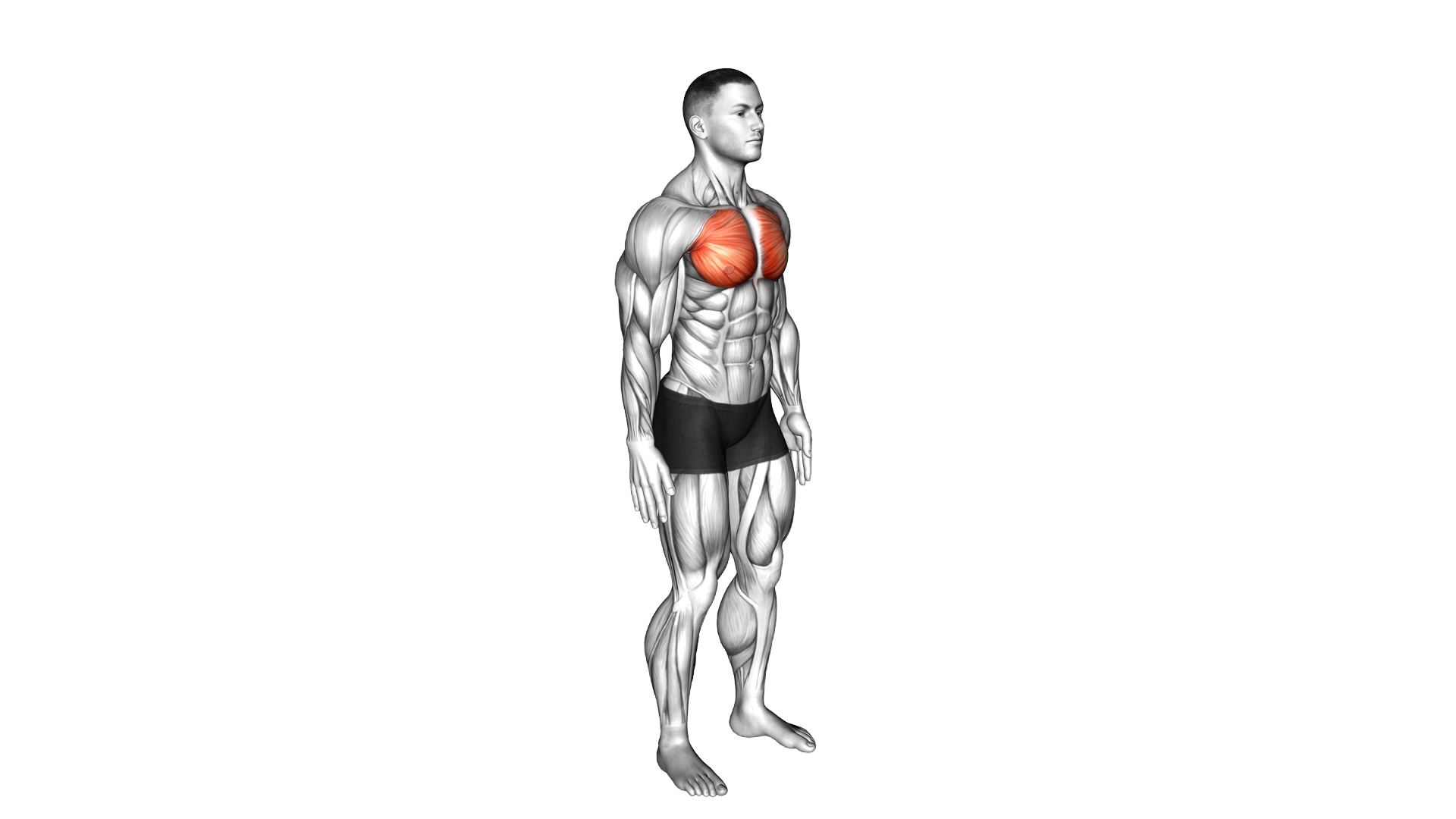 Elbows Back Stretch exercise demonstration
