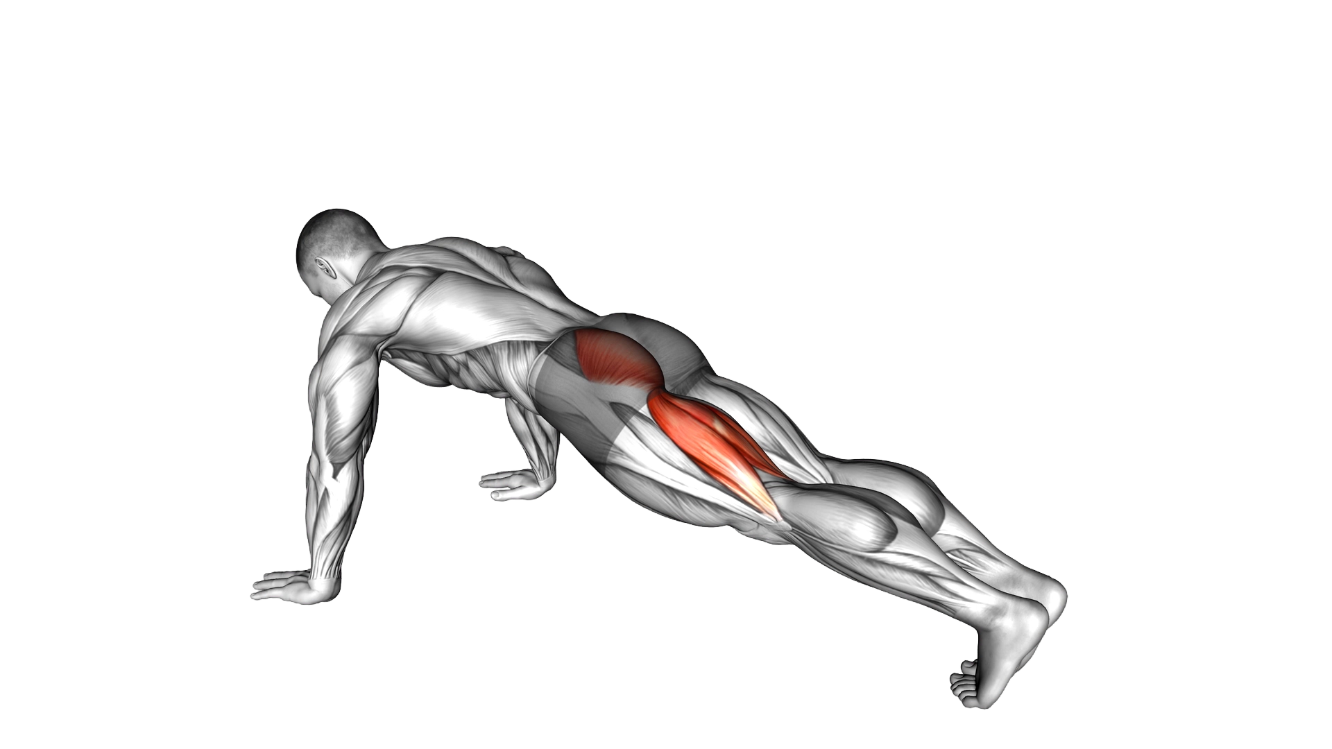 Hip Extension Stretch exercise demonstration