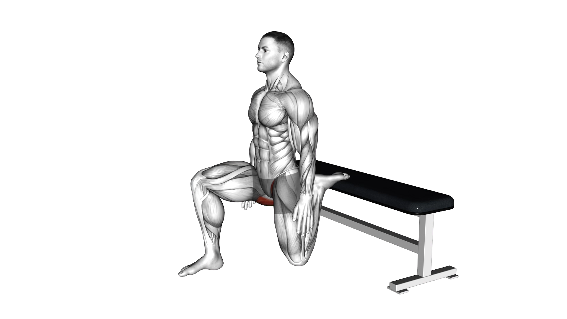 Hip Flexor Stretch Rear foot elevated exercise demonstration