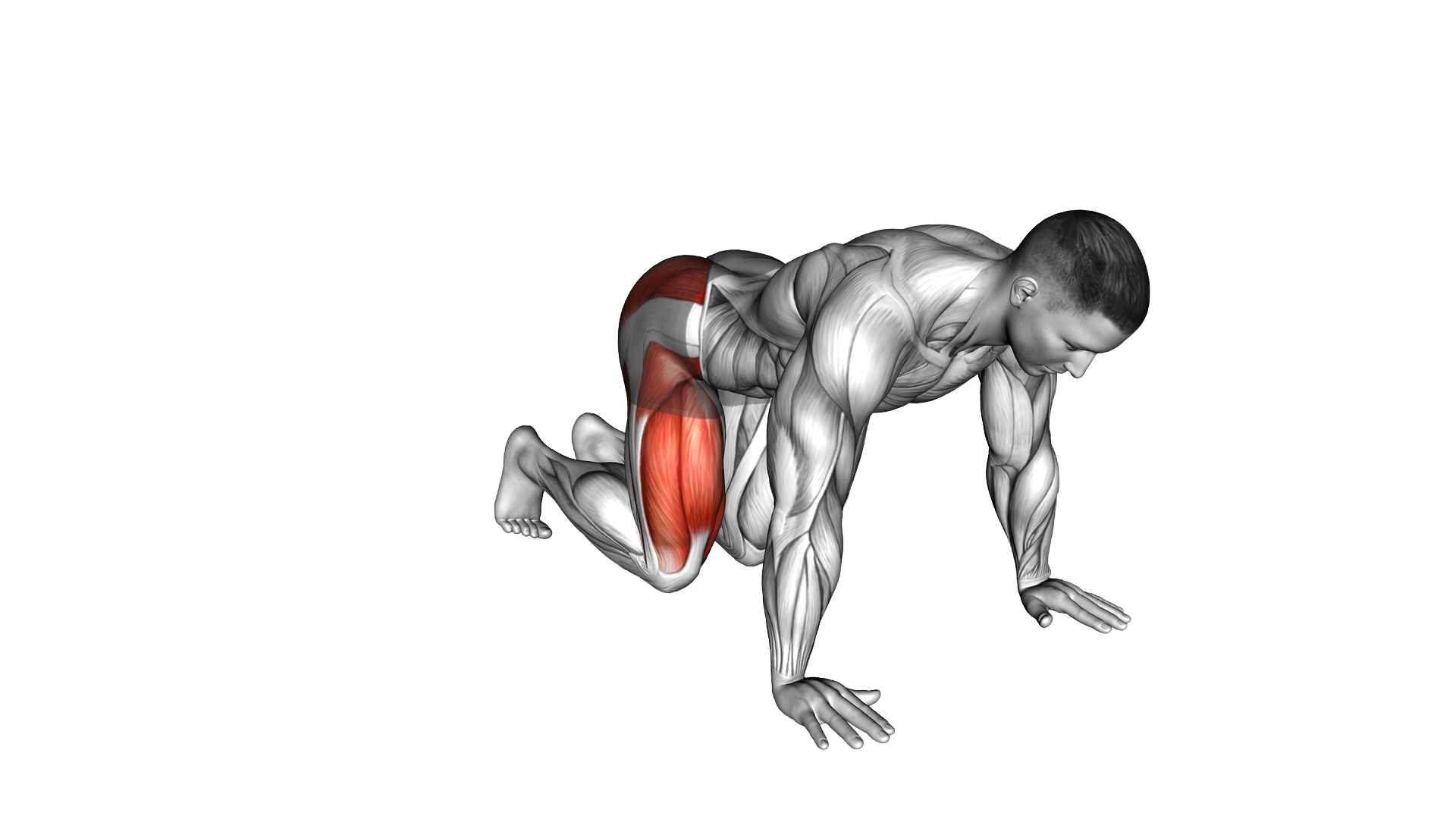 Kneeling Side Leg to Kick exercise demonstration
