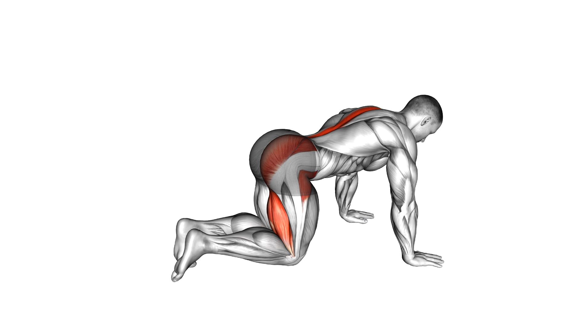 Bent Knee Back to Side Kick exercise demonstration