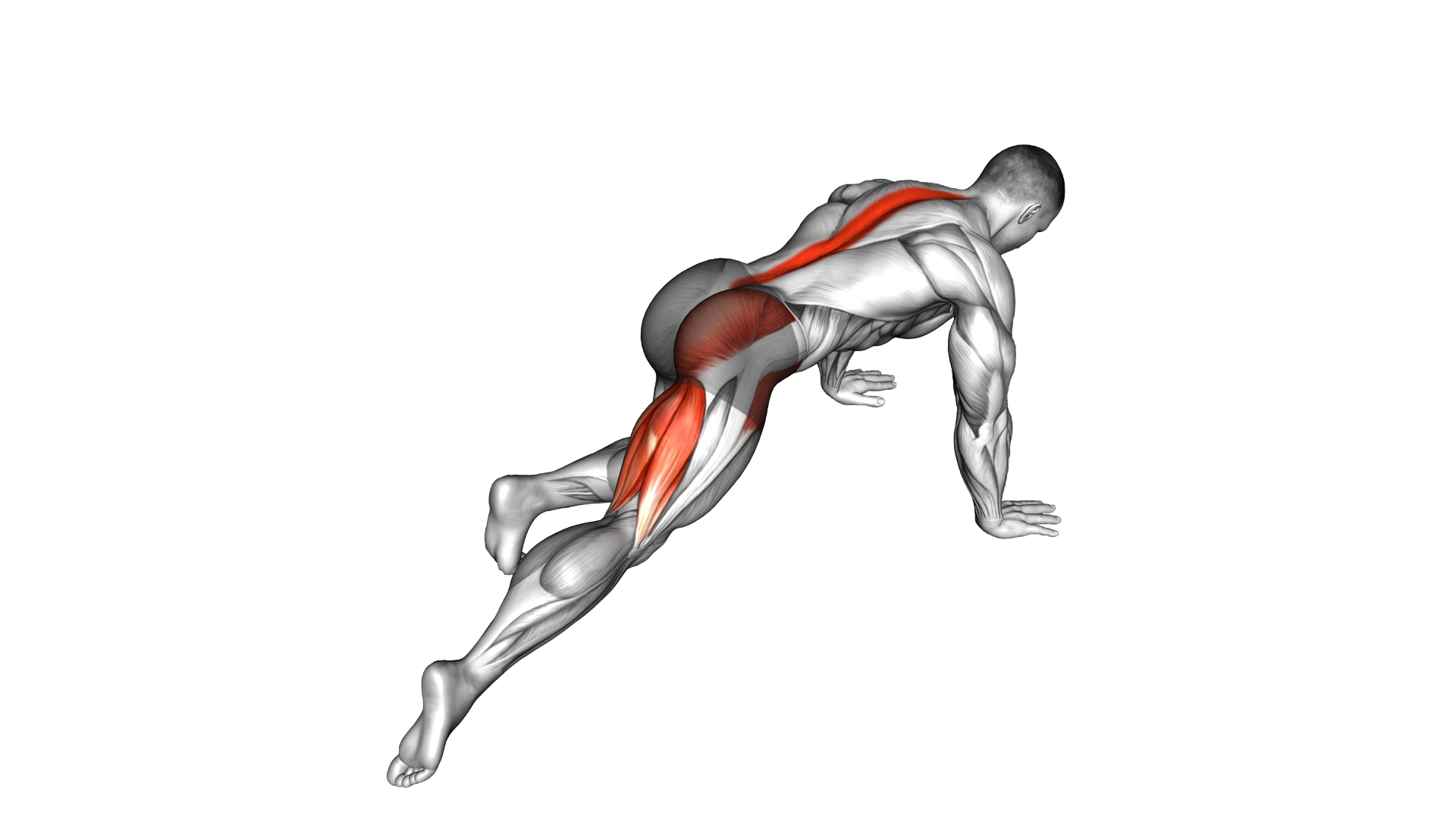 Kneeling Leg Half Circle exercise demonstration