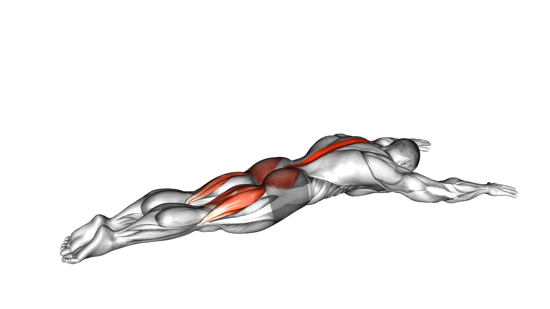 Alternating Superman exercise demonstration