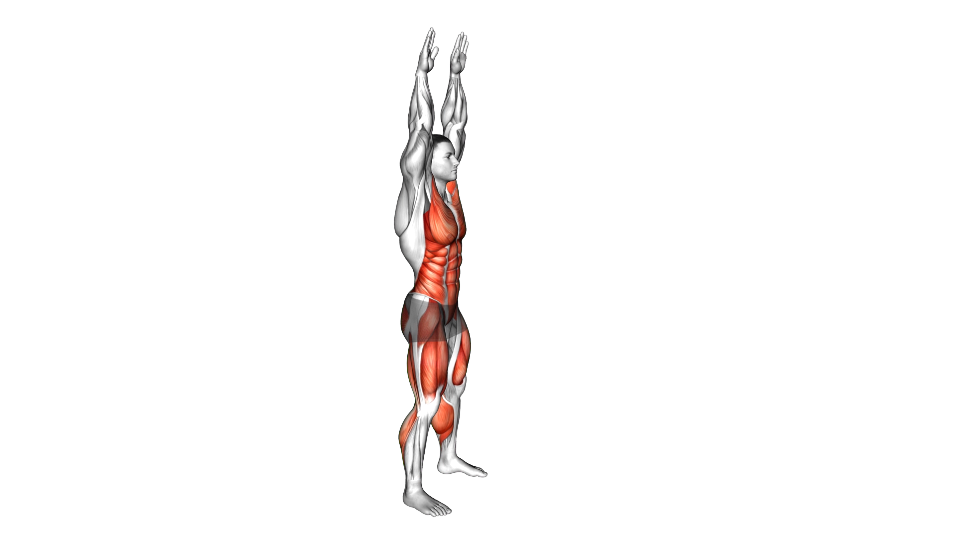 Silent Burpee exercise demonstration