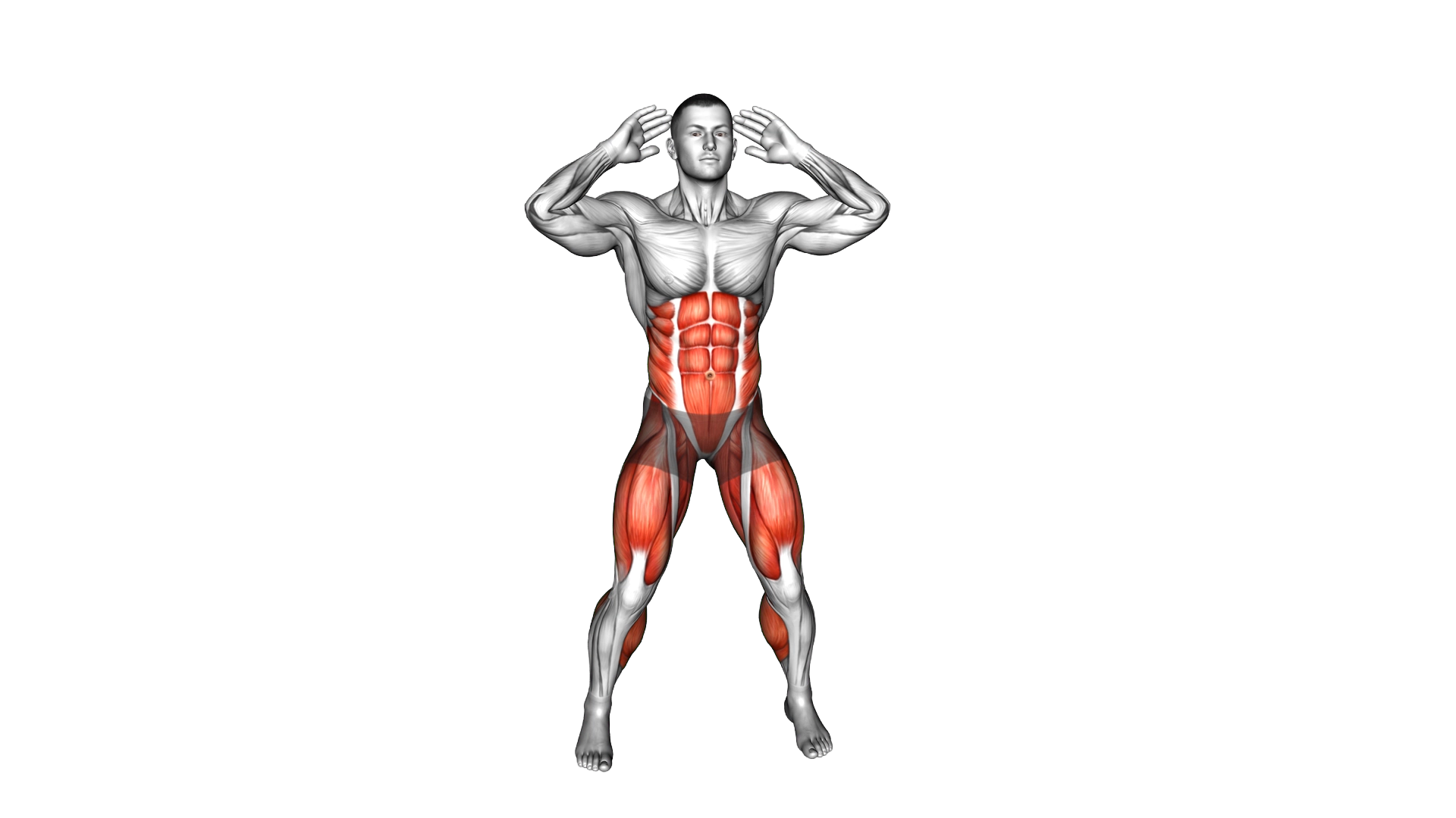 Criss Cross Elbow To Knee exercise demonstration