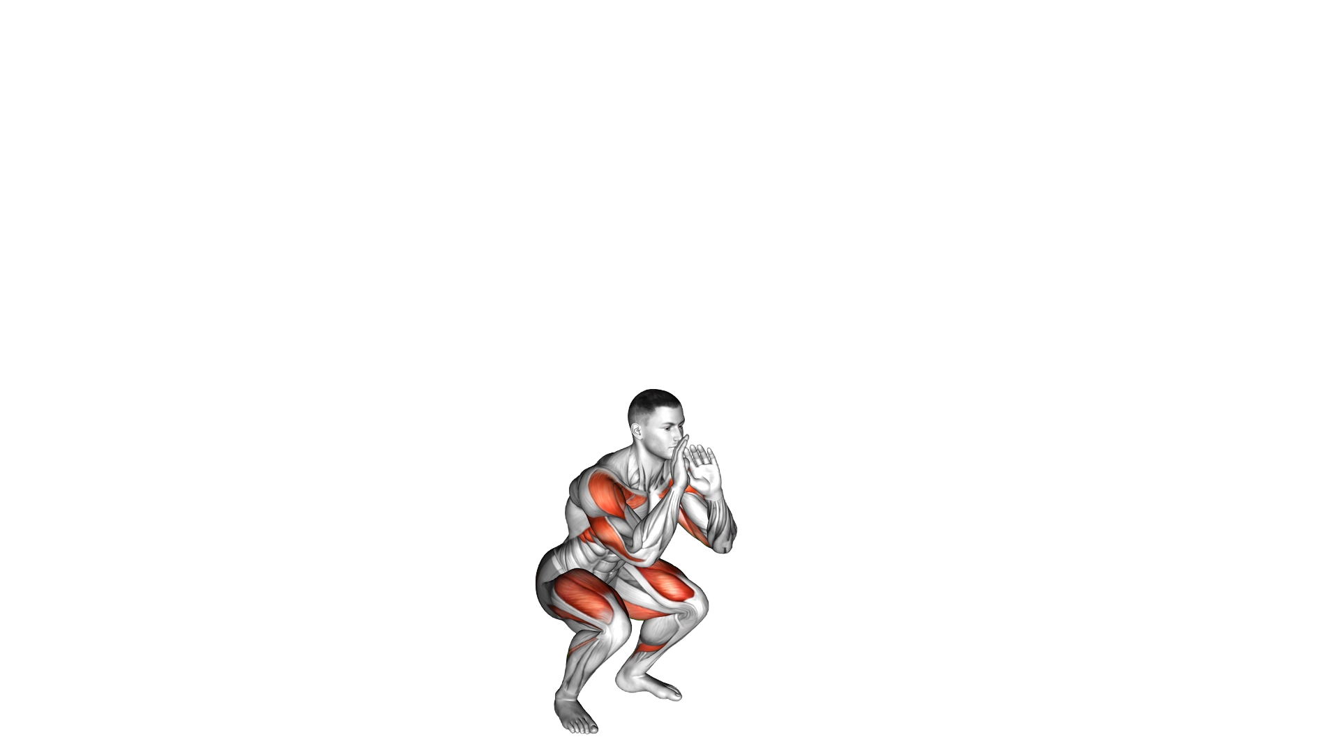 Basketball Shot Jump exercise demonstration