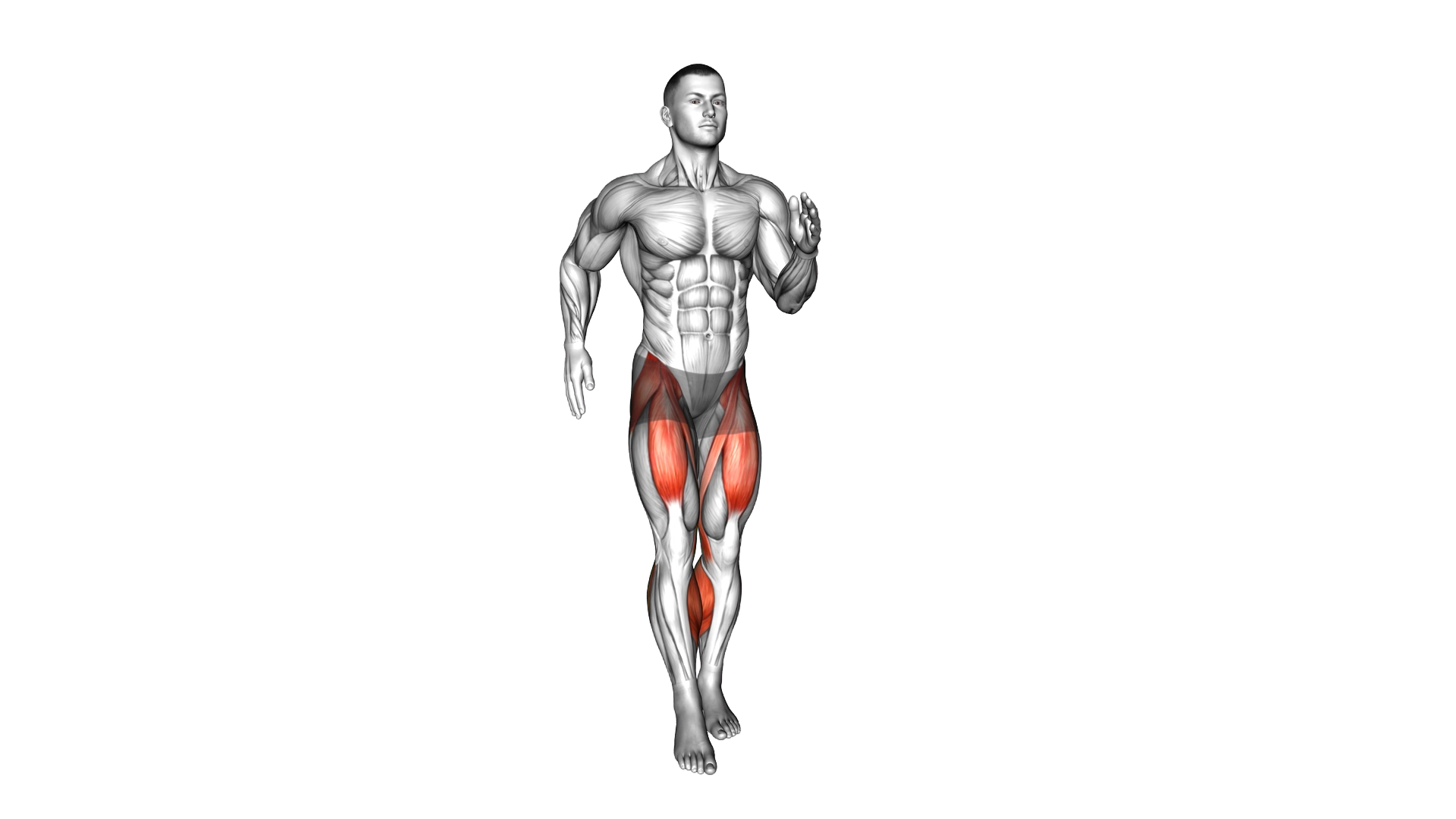Alternate Front Kick in Place exercise demonstration