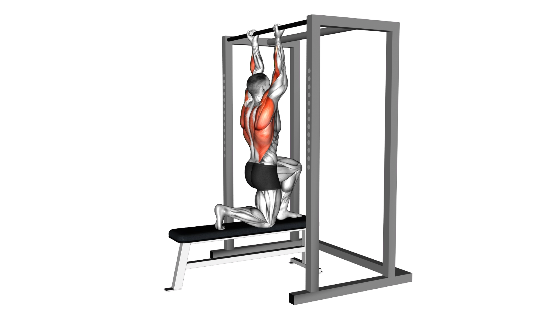 Assisted Chin up (low bar position) exercise demonstration