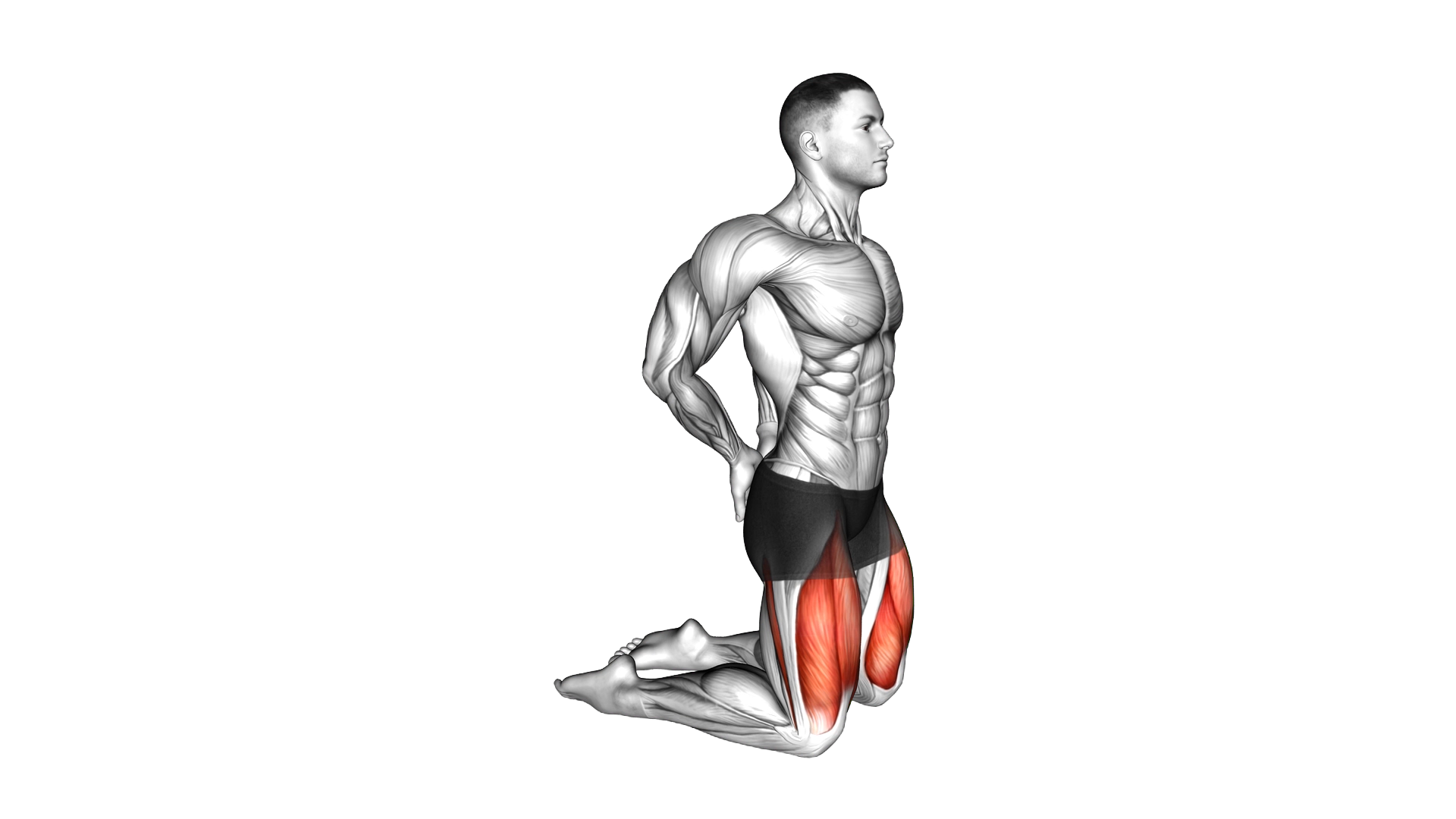 Bodyweight Kneeling Sissy Squat exercise demonstration