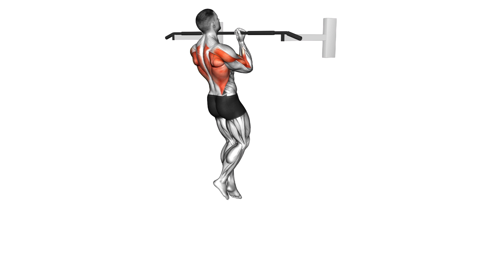 Chin up (izometric and negative) exercise demonstration