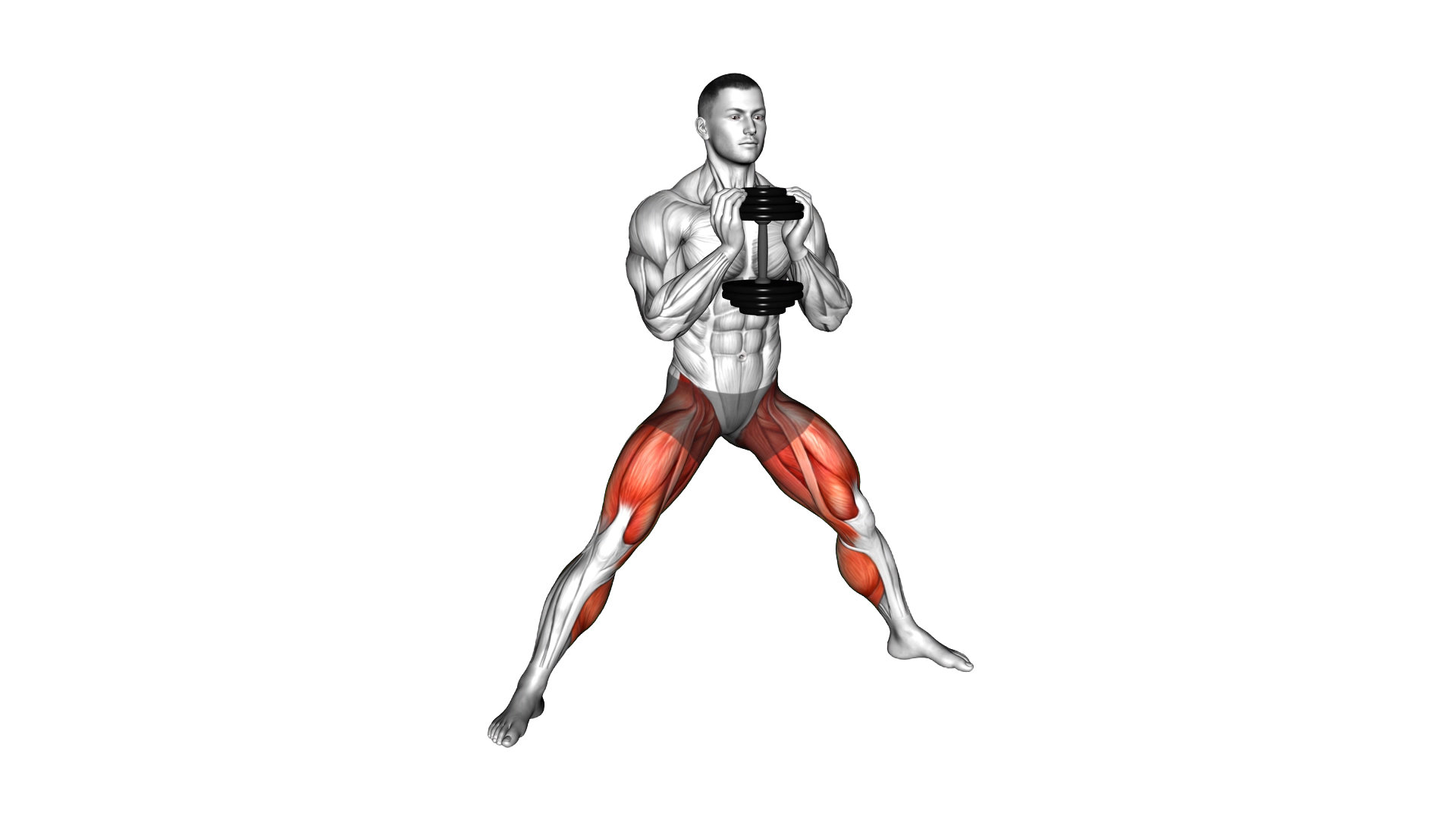 Dumbbell Cossack Squats exercise demonstration