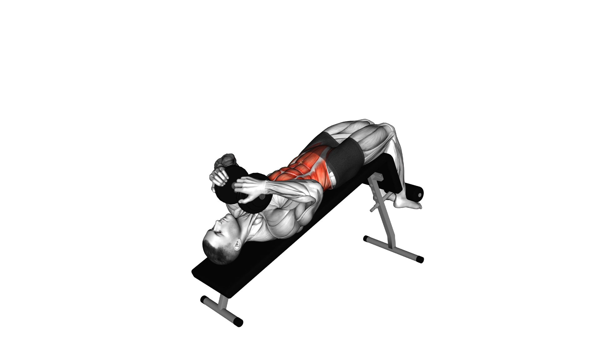 Dumbbell Decline Sit up exercise demonstration