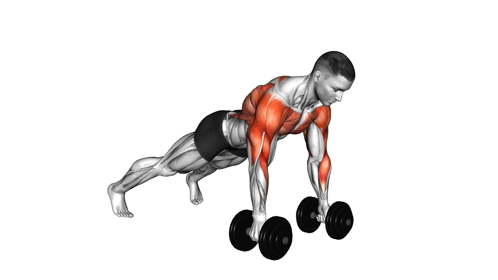 Dumbbell Deep Push up and Renegade Row exercise demonstration