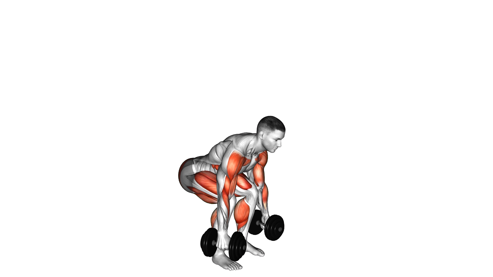 Dumbbell Hang Power Clean exercise demonstration
