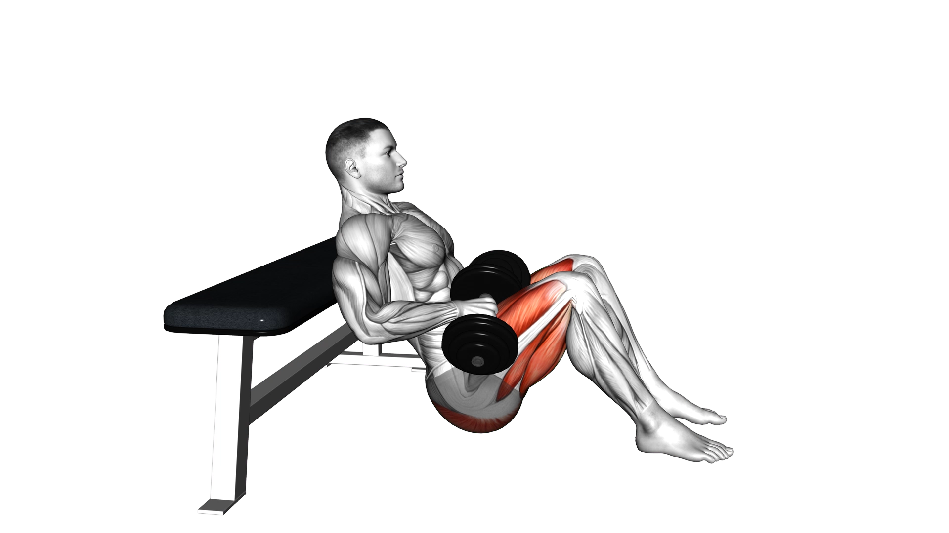 Dumbbell Hip Thrust exercise demonstration
