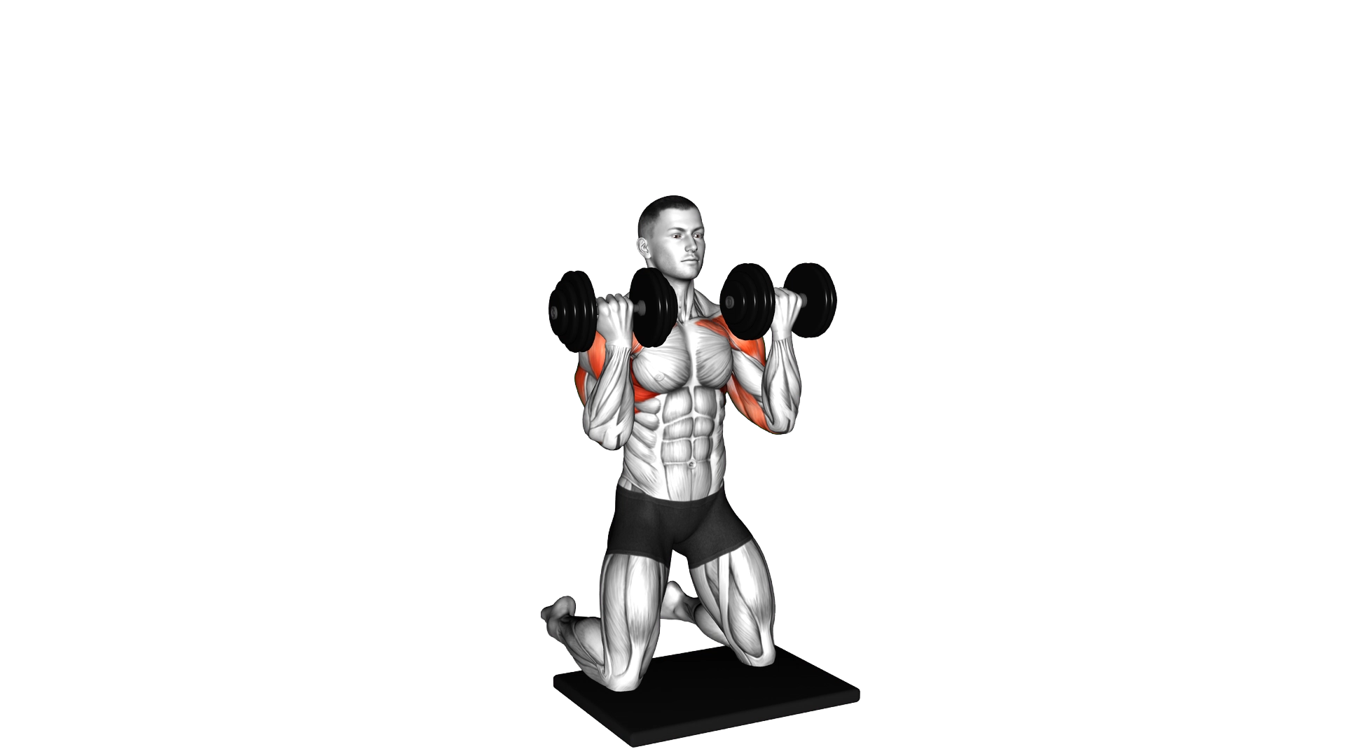 Dumbbell Kneeling Arnold Press exercise demonstration