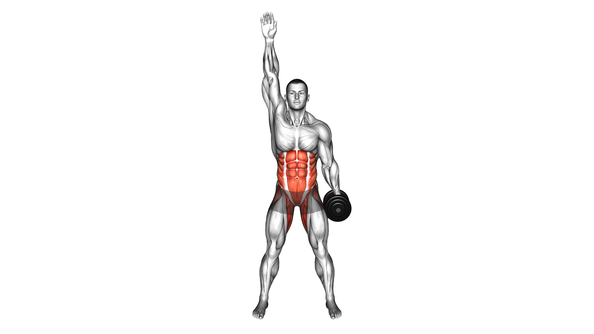Dumbbell Low Windmill exercise demonstration