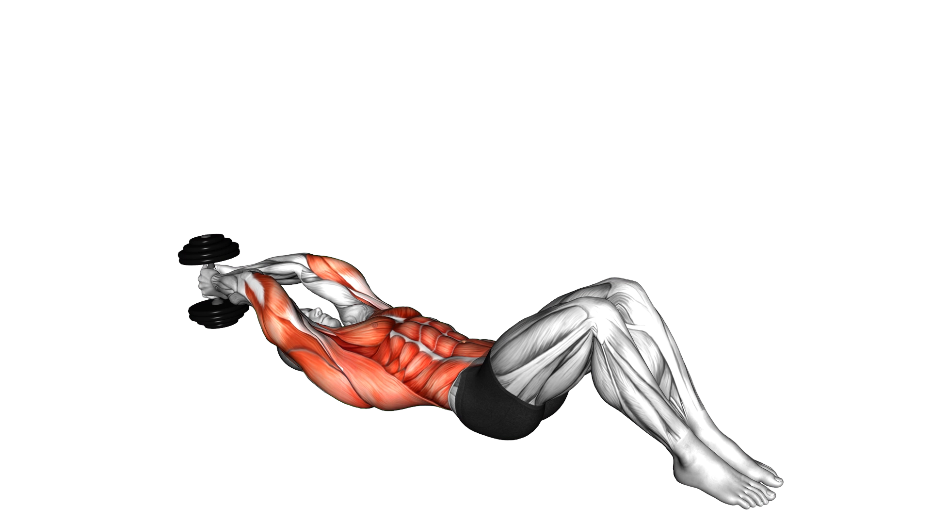 Dumbbell Lying Woodchop exercise demonstration