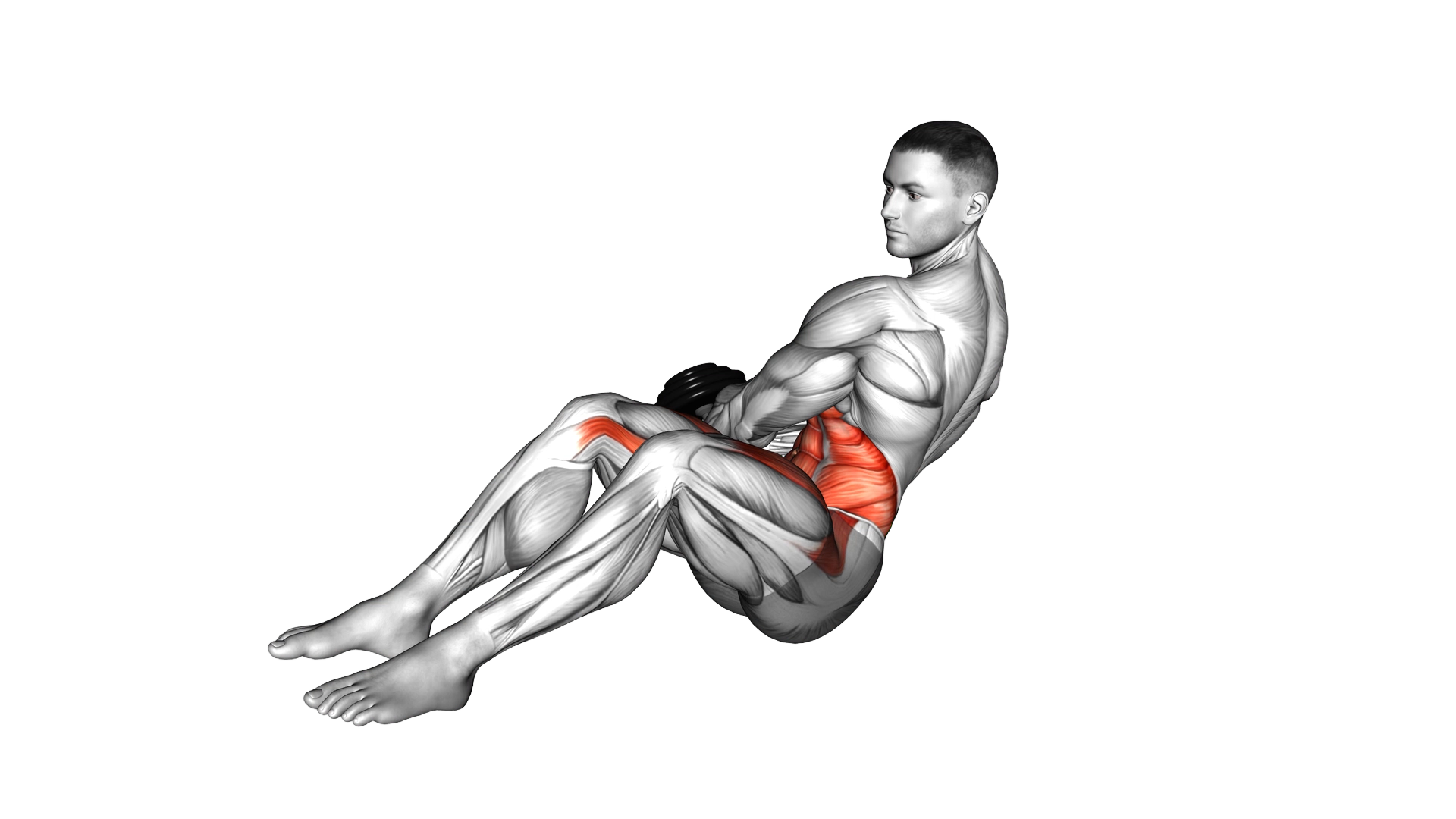 Dumbbell Russian Twist with Legs Floor Off exercise demonstration