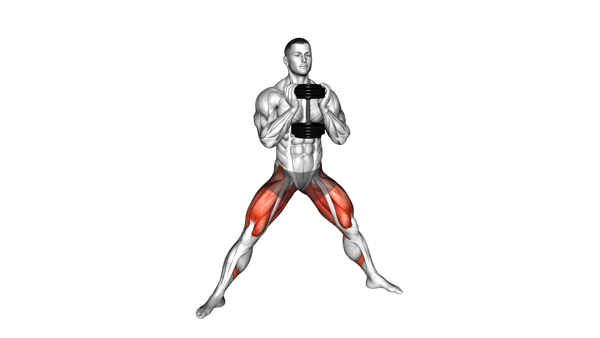 Dumbbell Side Squat exercise demonstration