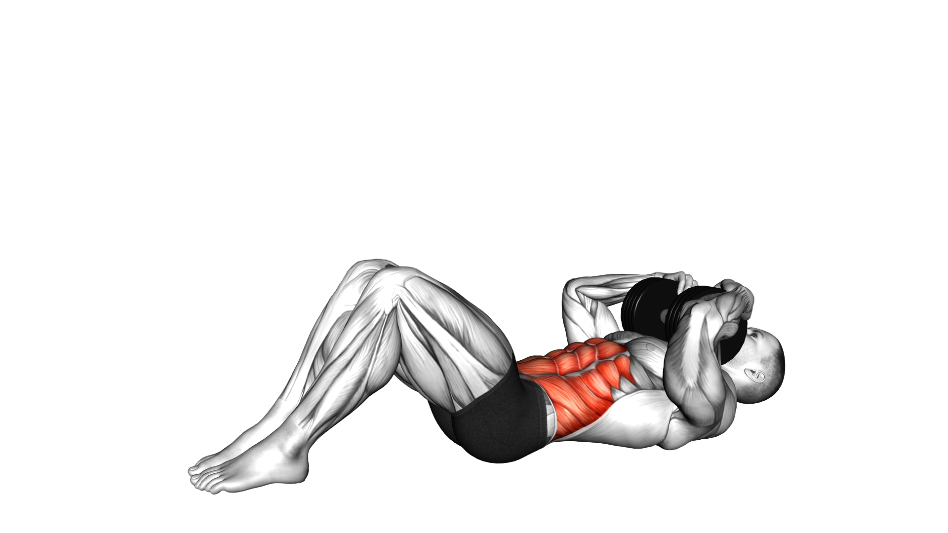 Dumbbell Sit up exercise demonstration