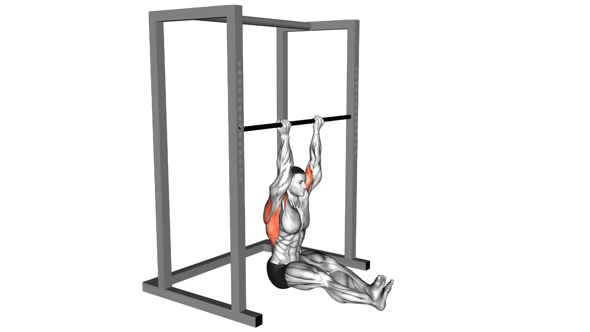 Seated Chin up exercise demonstration