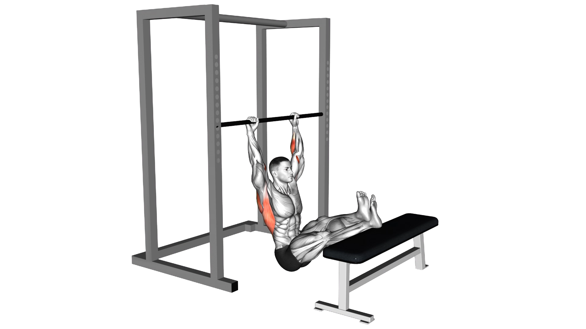 Seated Pull up (legs elevated) exercise demonstration