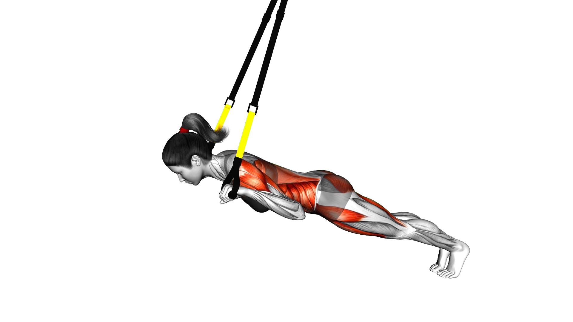 Suspender Alternate Superman exercise demonstration