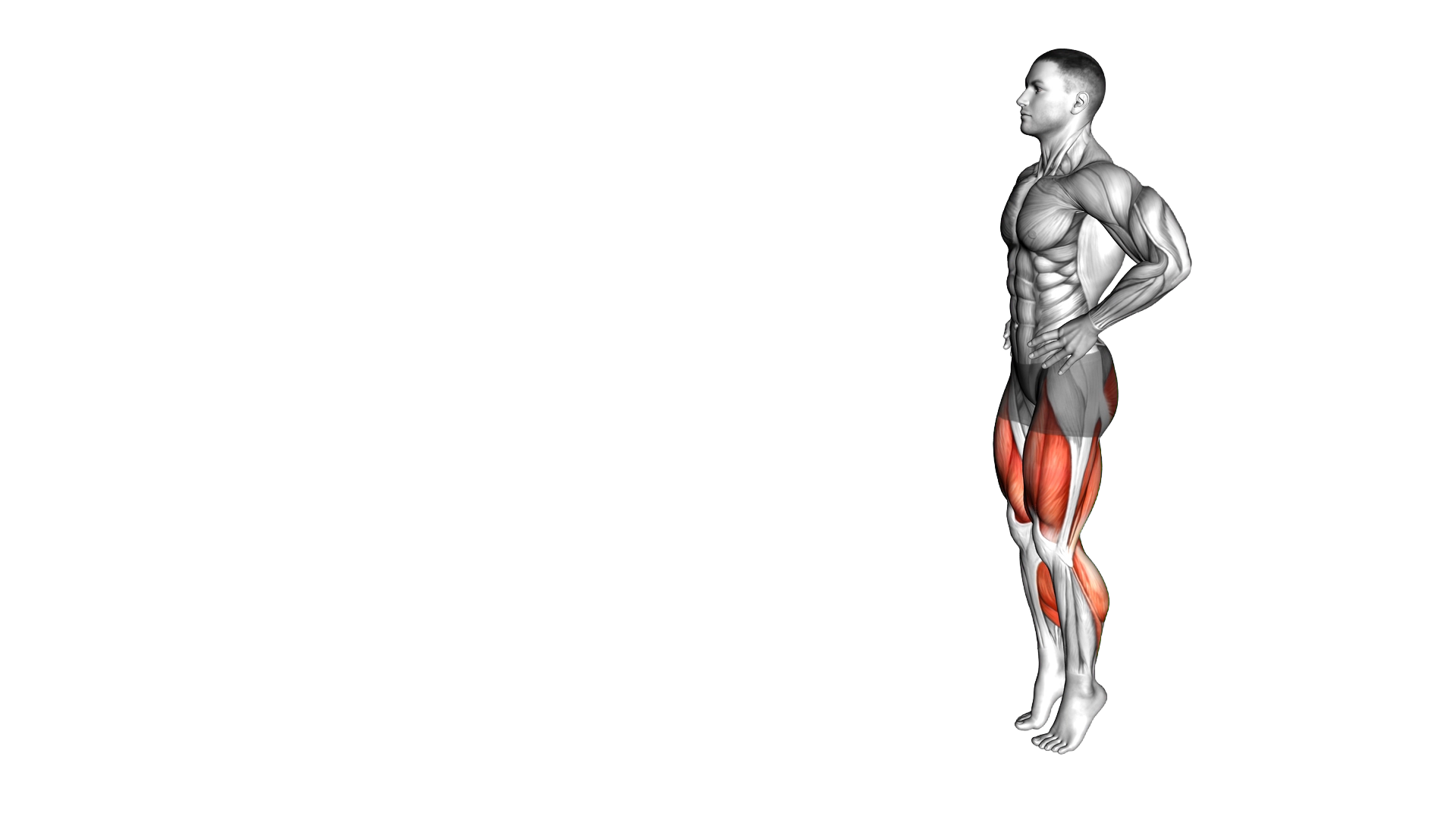 Toe Walk exercise demonstration