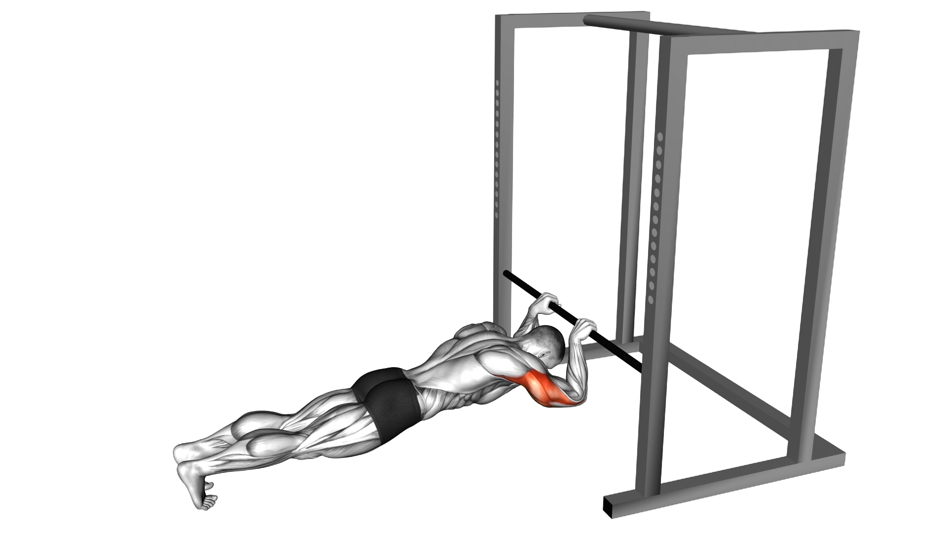 Triceps Press (low bar position) exercise demonstration