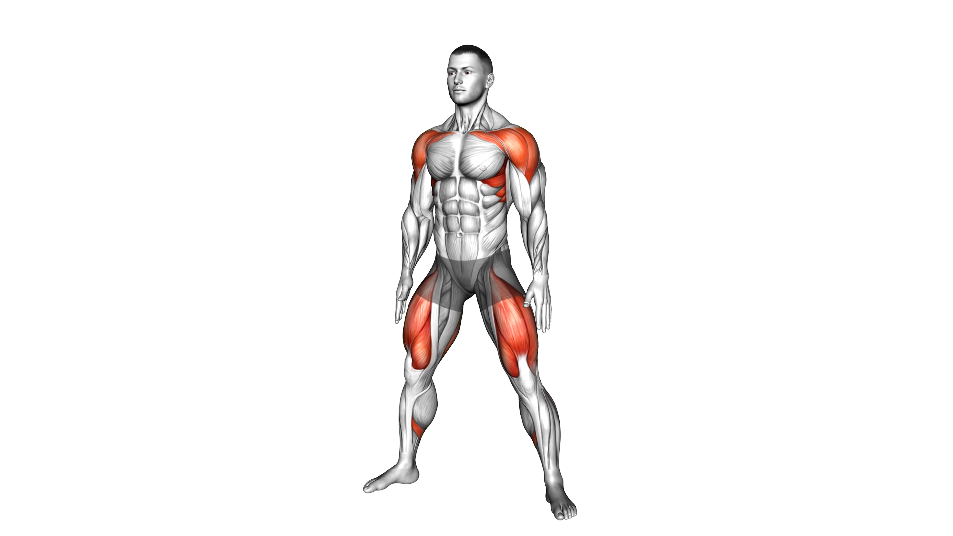 Wide Air Squat exercise demonstration