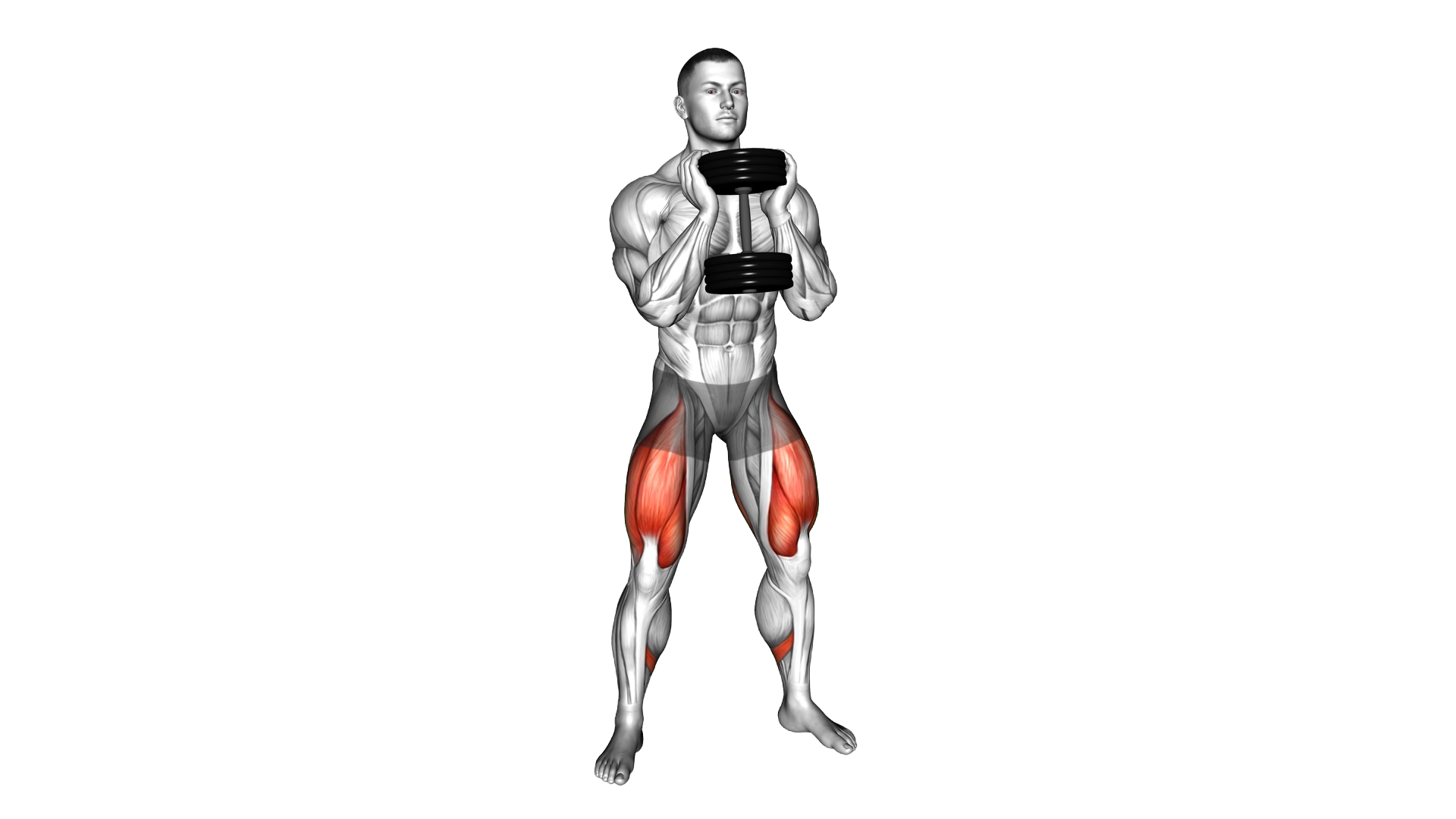 Dumbbell Goblet 2 sec Hold Squat exercise demonstration