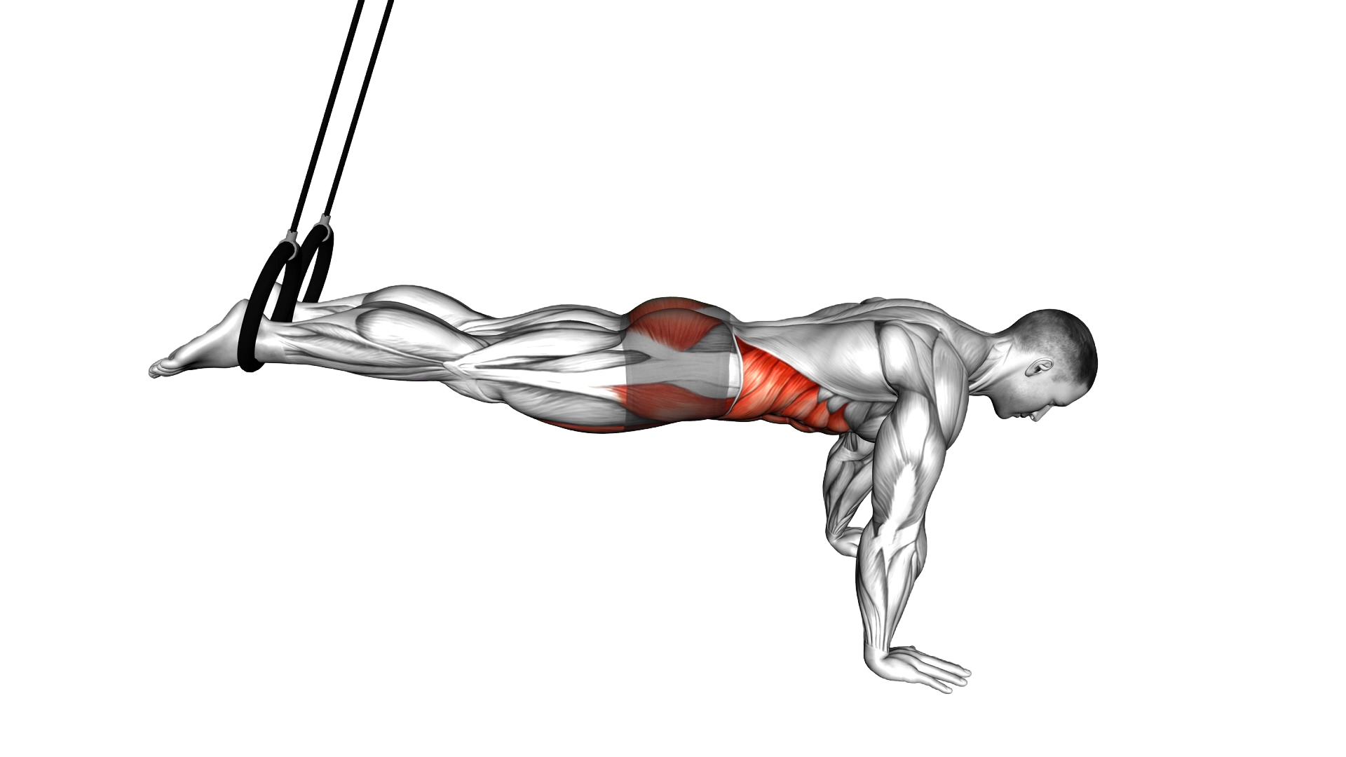 Ring Reverse Ab Rollout exercise demonstration