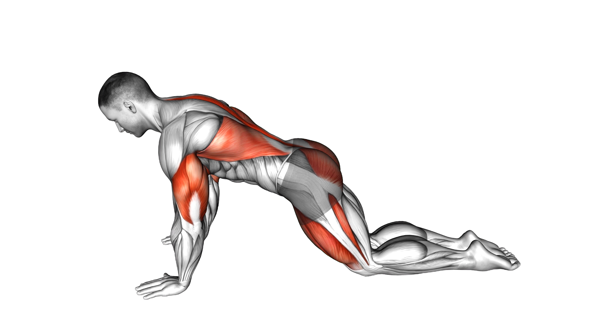 Child Pose Push up exercise demonstration