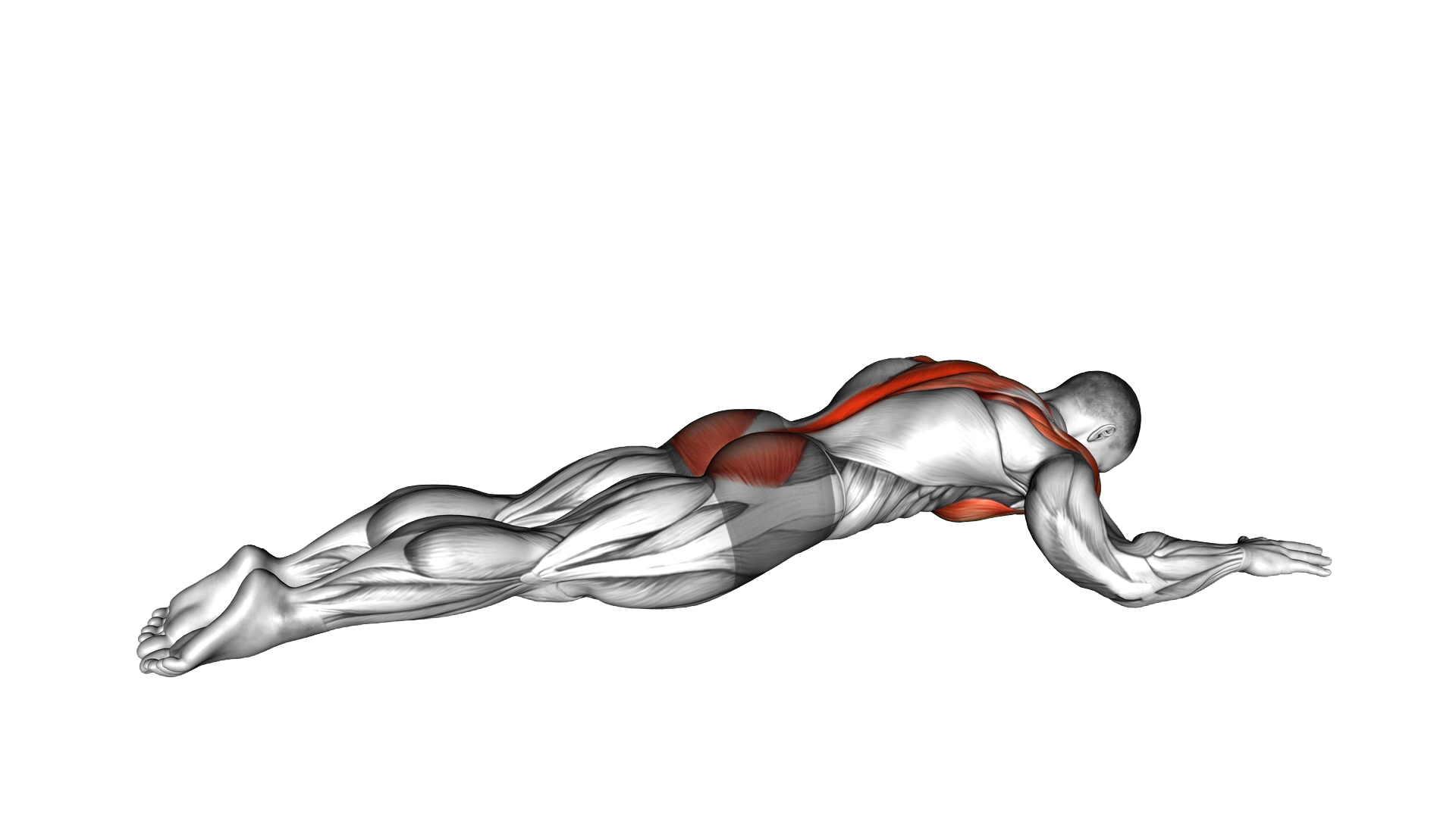 Superman Chest Stretch exercise demonstration