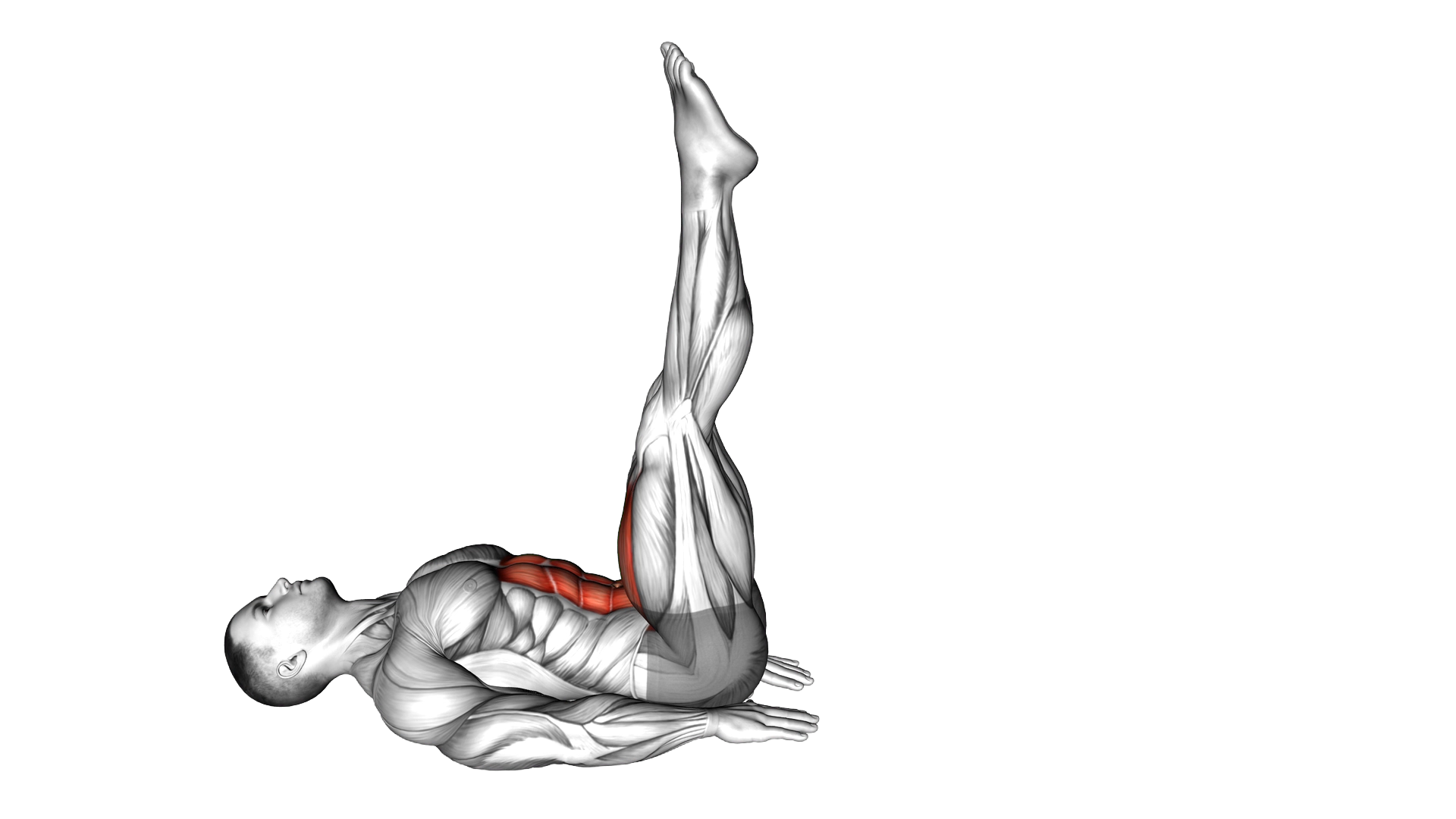Alternate Leg Raise exercise demonstration